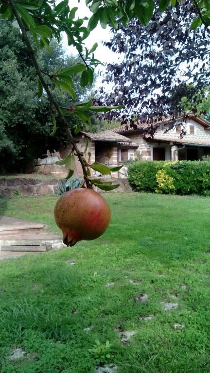 Agriturismo Casale Loreto Corchiano Εξωτερικό φωτογραφία